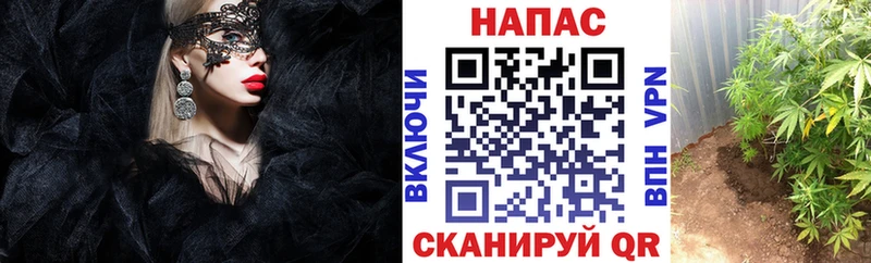 Купить закладку Всеволожск Метадон  Alpha-PVP  Гашиш  Мефедрон  КОКАИН  Конопля 