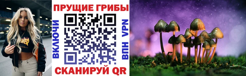 наркотики  Всеволожск  Галлюциногенные грибы ЛСД 